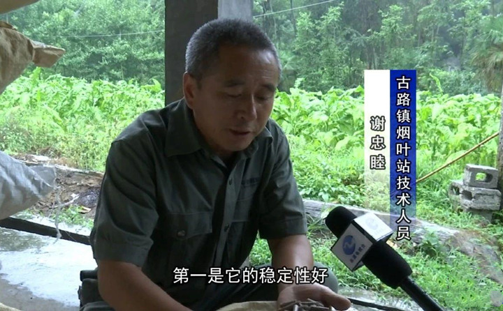 緊緊抓住木屑造粒機(jī)生物質(zhì)顆粒燃料加工場(chǎng)地建設(shè)項(xiàng)目落地的契機(jī)，找準(zhǔn)結(jié)合點(diǎn)，推動(dòng)共和綜合服務(wù)型煙農(nóng)專業(yè)合作社與生物質(zhì)顆粒燃料加工廠的緊密合作.jpg
